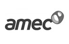 amec-nss